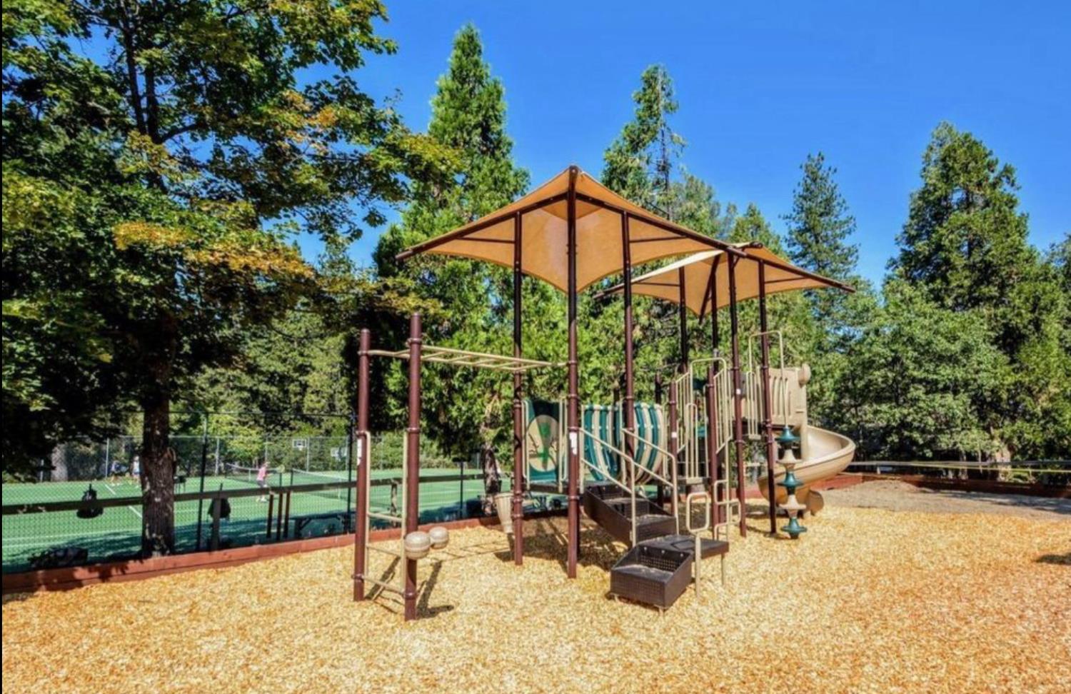 501 Forest Meadows Drive Murphys, CA 95247 - Photo 10 of 15