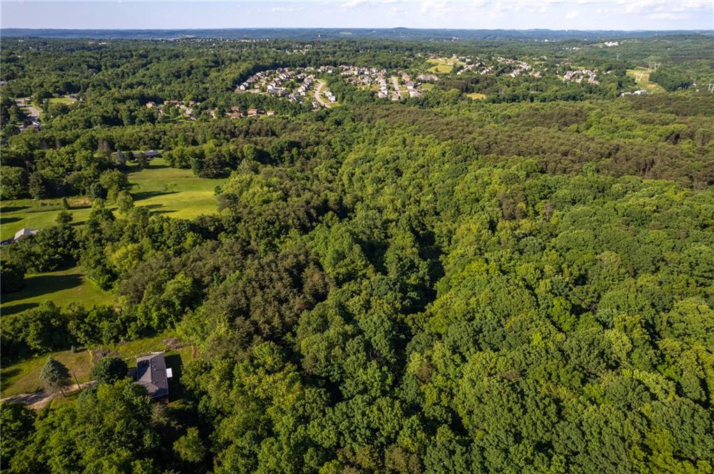 3276 Brodhead Road Aliquippa, PA 15001 - Photo 11 of 15 Lush and green!