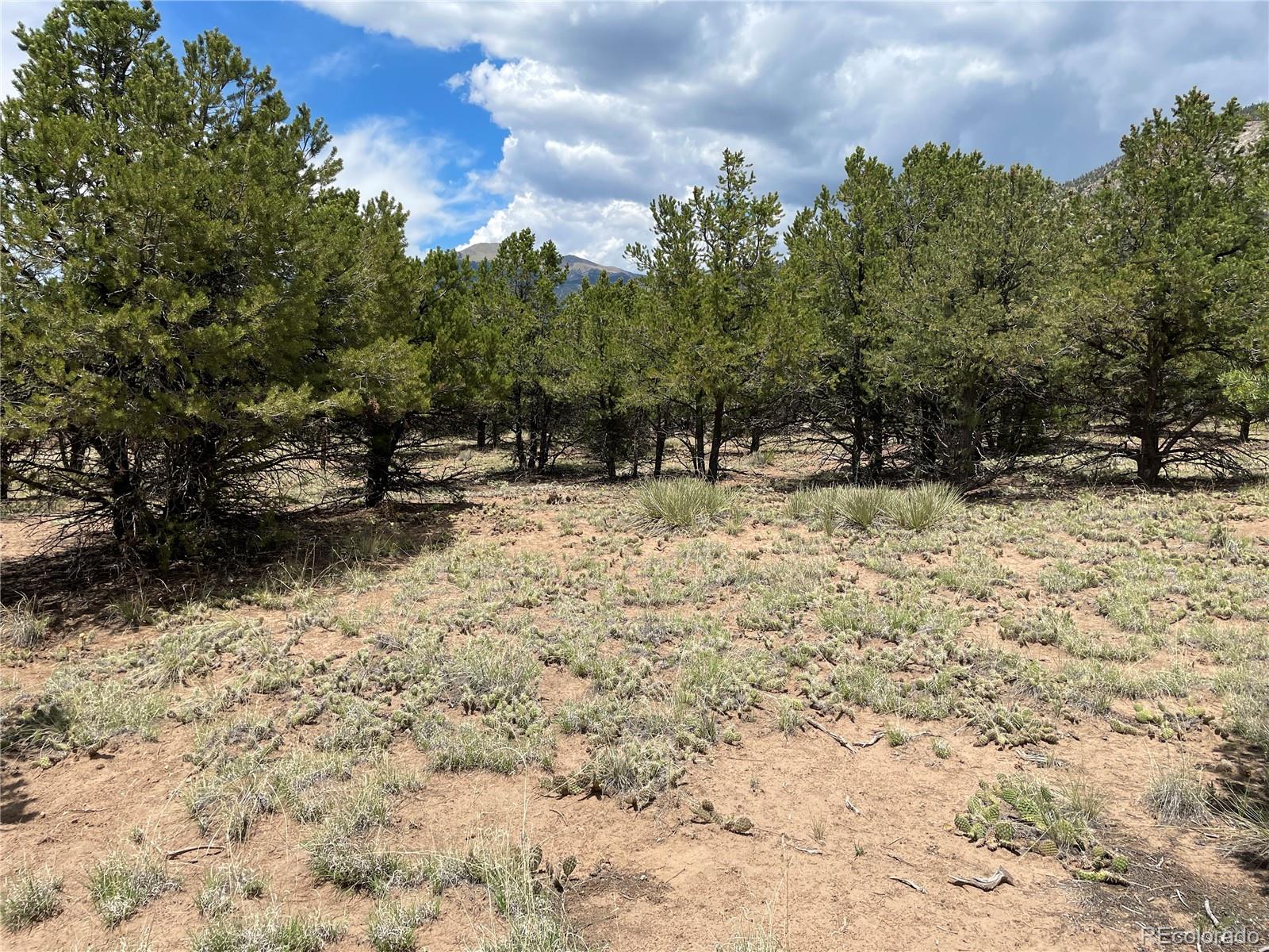 49 Lots 7-10 Crestone, CO 81131 - Photo 2 of 6