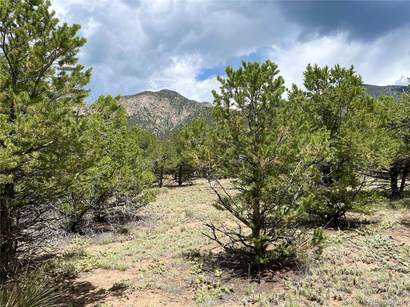 49 Lots 7-10 Crestone, CO 81131 - Photo 4 of 6