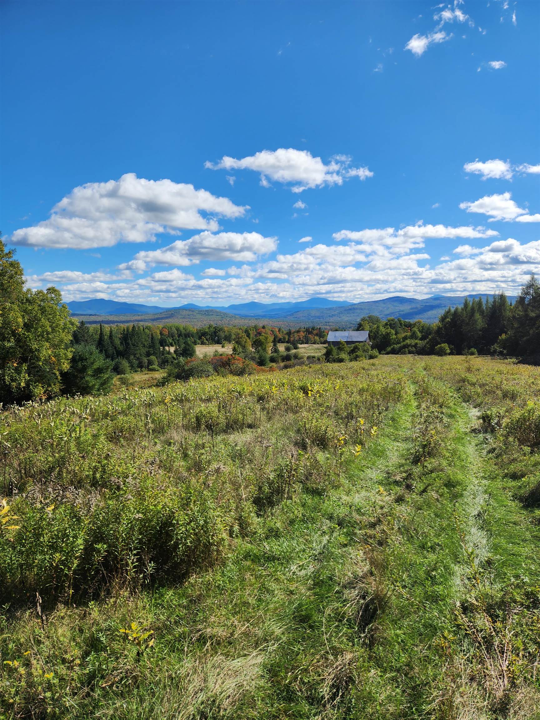 0 U.S. Route 2, Unit PARCEL 2 Lunenburg, VT 05906 - Photo 15 of 27