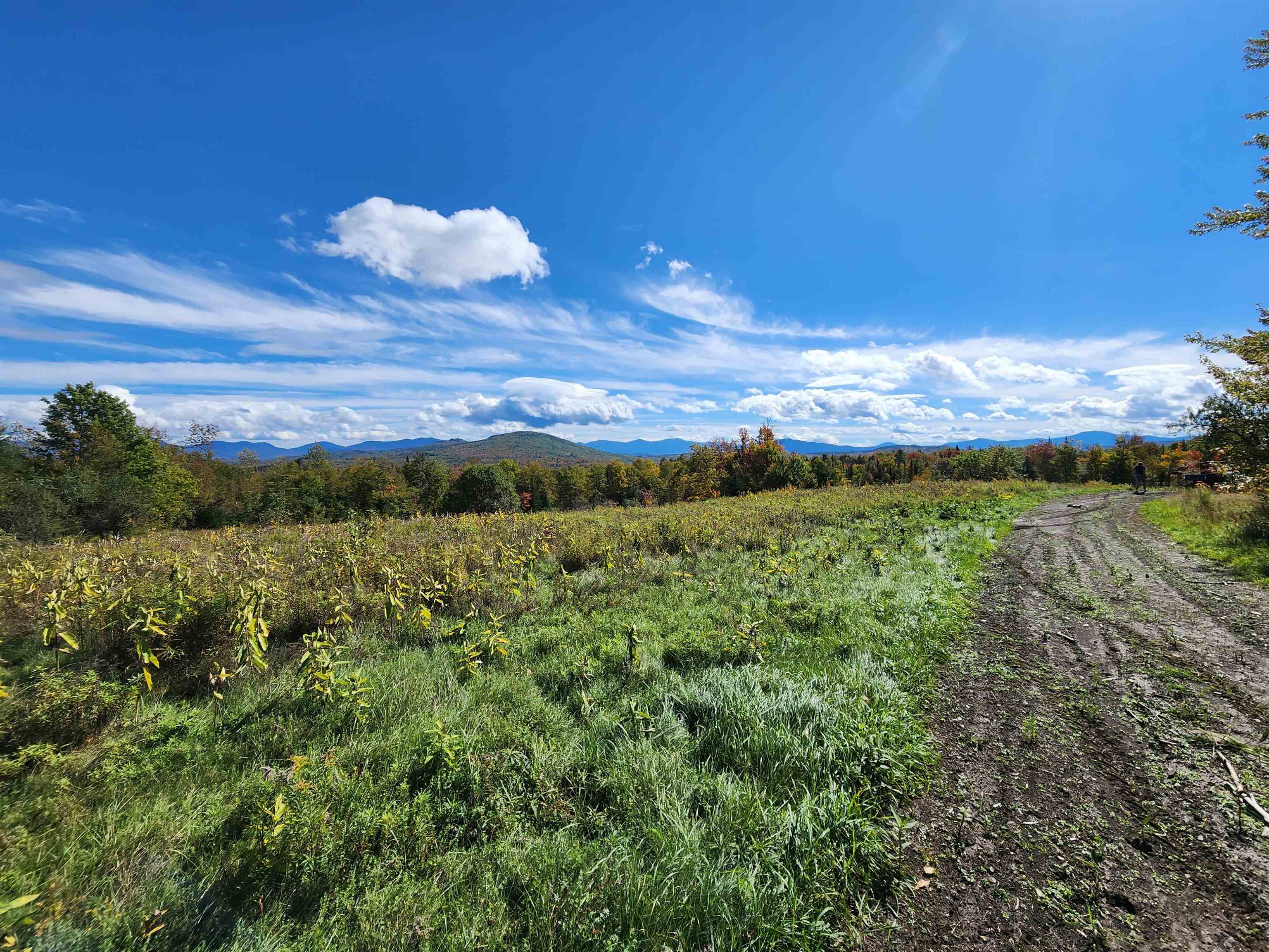 0 U.S. Route 2, Unit PARCEL 2 Lunenburg, VT 05906 - Photo 16 of 27