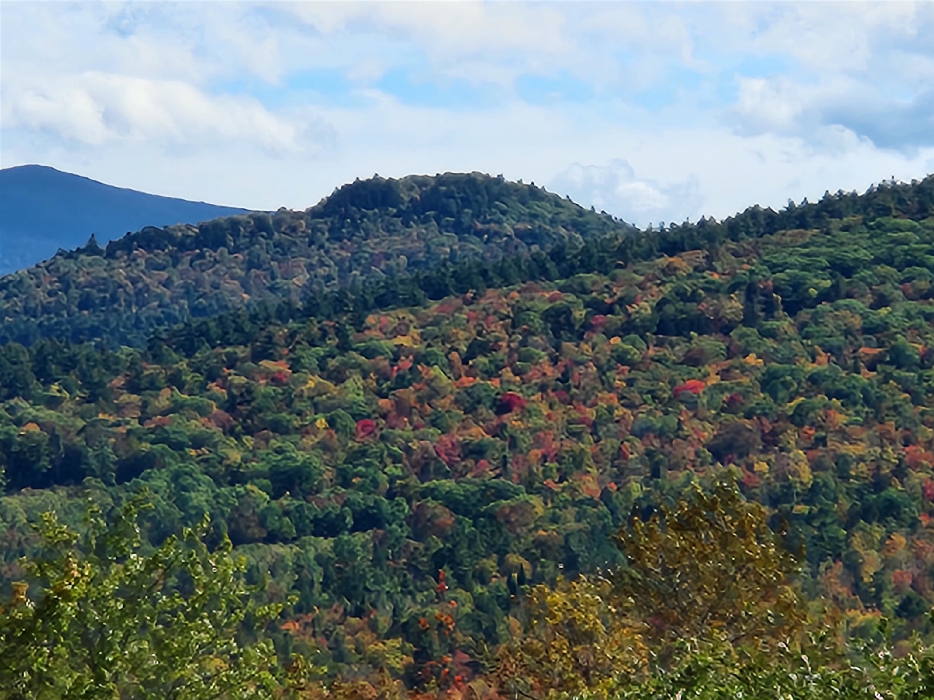 0 U.S. Route 2, Unit PARCEL 2 Lunenburg, VT 05906 - Photo 17 of 27