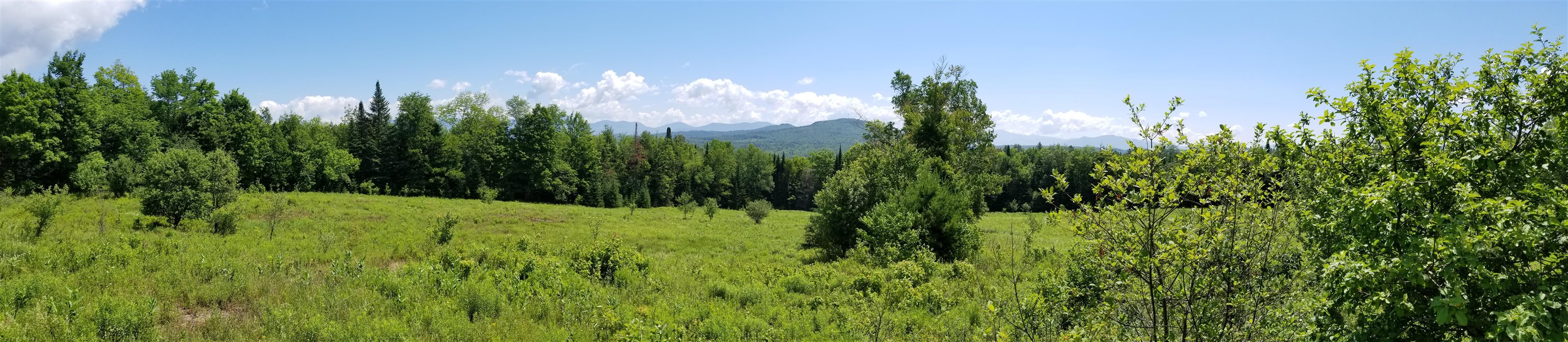 0 U.S. Route 2, Unit PARCEL 2 Lunenburg, VT 05906 - Photo 19 of 27