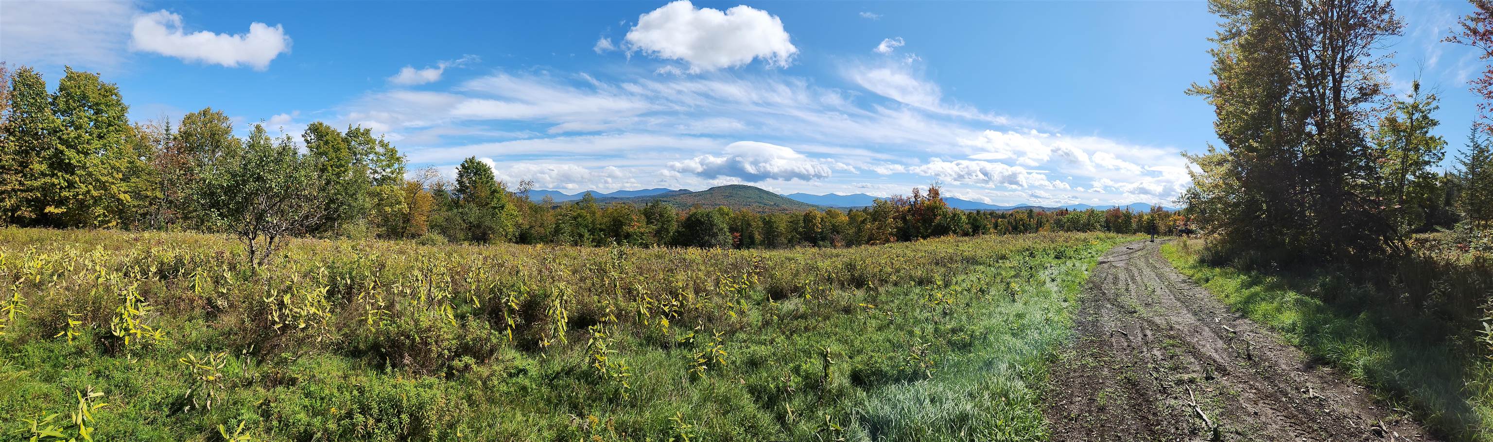 0 U.S. Route 2, Unit PARCEL 2 Lunenburg, VT 05906 - Photo 20 of 27