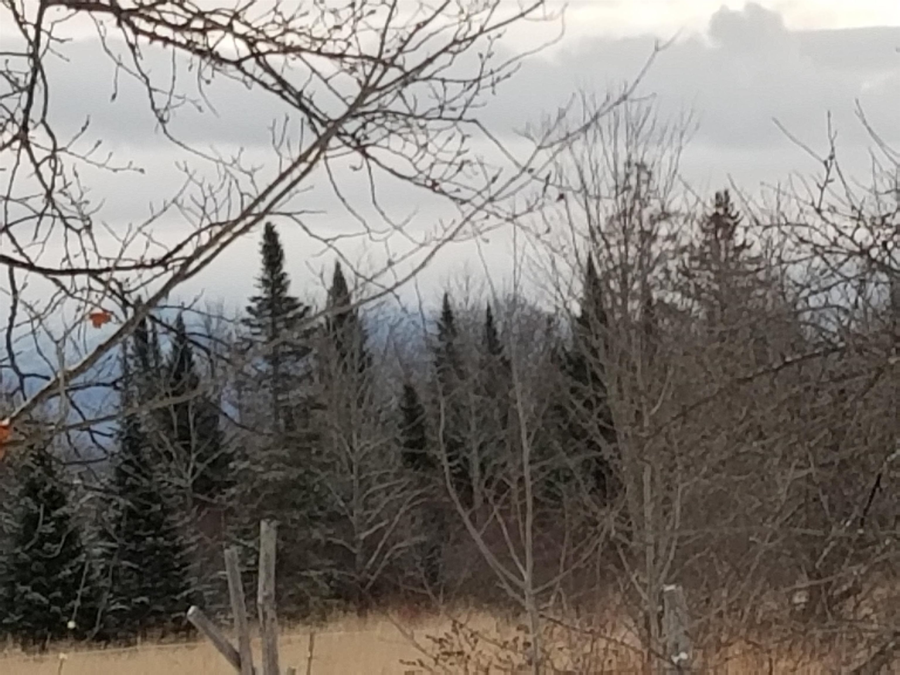 0 U.S. Route 2, Unit PARCEL 2 Lunenburg, VT 05906 - Photo 9 of 27