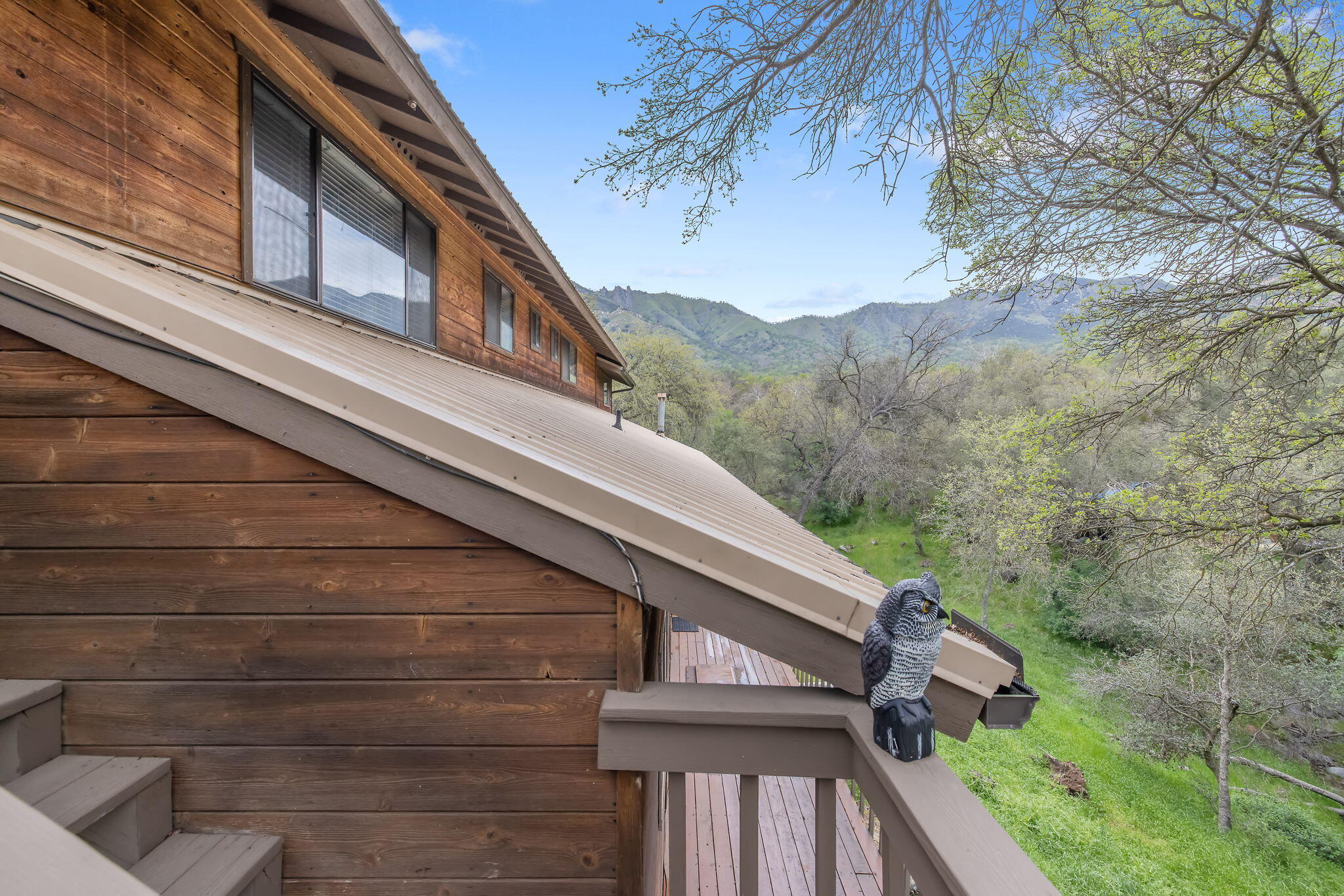 43677 Washburn Drive Three Rivers, CA 93271 - Photo 66 of 80 77-web-or-mls-713A9659