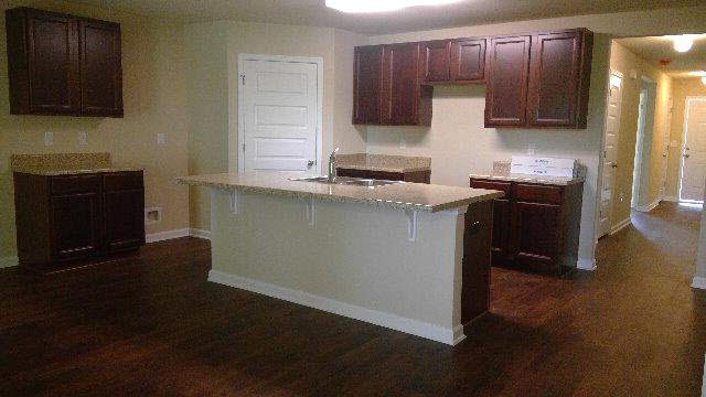 17613 Lewis Smith Drive Foley, AL 36535 - Photo 6 of 14 Kitchen