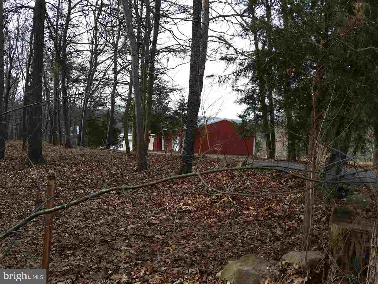90 Pine Tree Road Manchester, PA 17345 - Photo 6 of 32