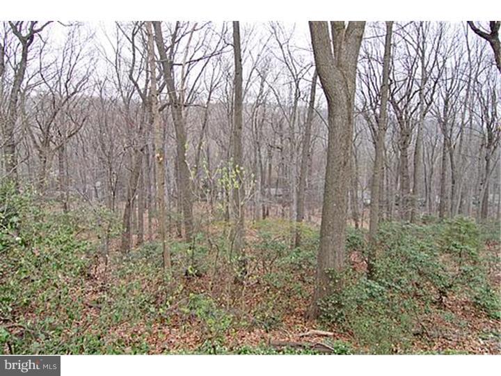 300 Danell Road Wayne, PA 19087 - Photo 19 of 23 Exterior Back