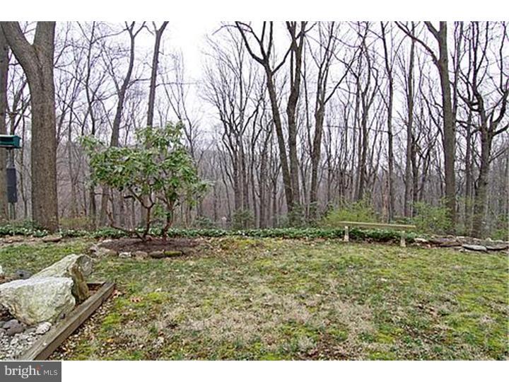 300 Danell Road Wayne, PA 19087 - Photo 21 of 23 Exterior Back
