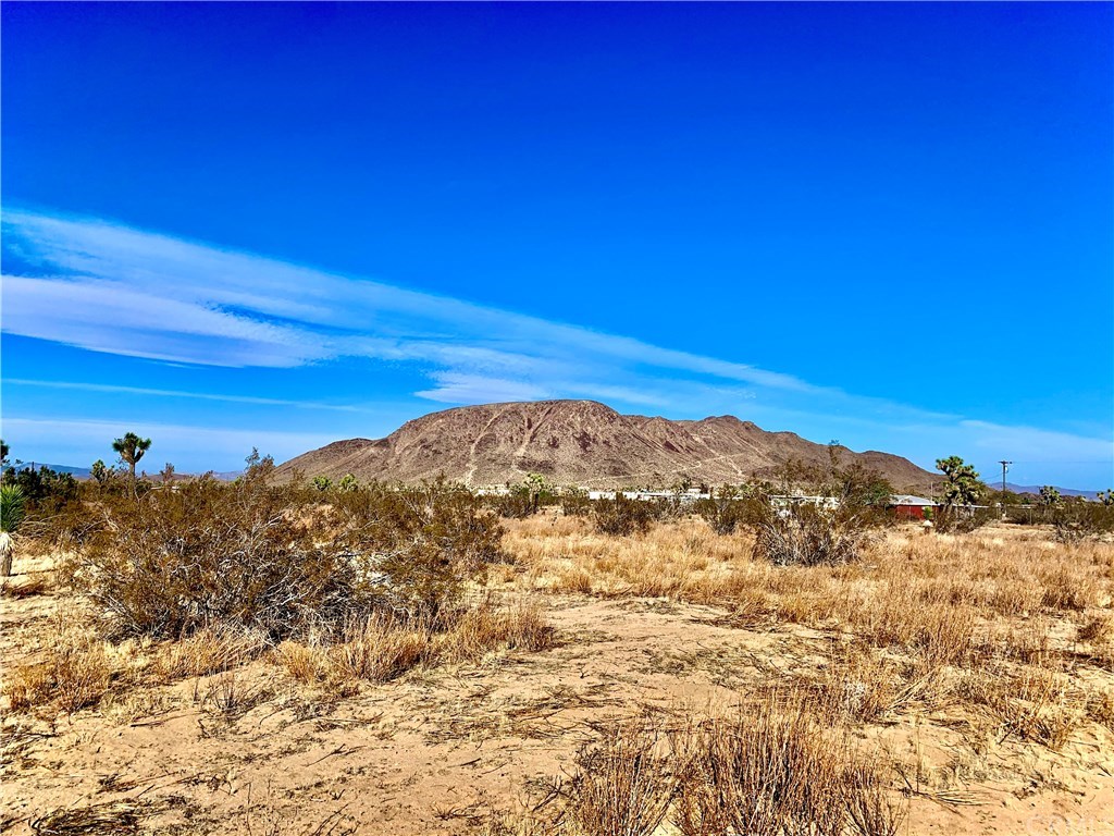 1 Josiah Road Landers, CA 92285 - Photo 1 of 1 Gallery Image 1