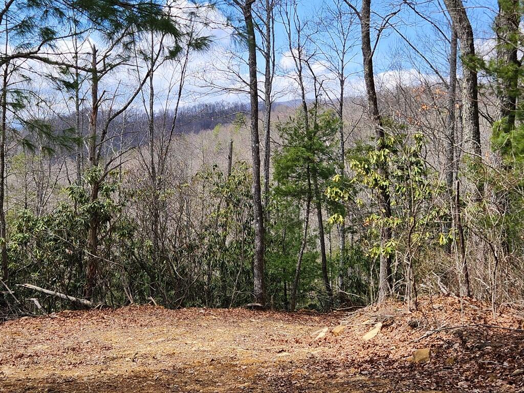 0 Camp Branch Road Topton, NC 28781 - Photo 26 of 41 Gallery Image 26
