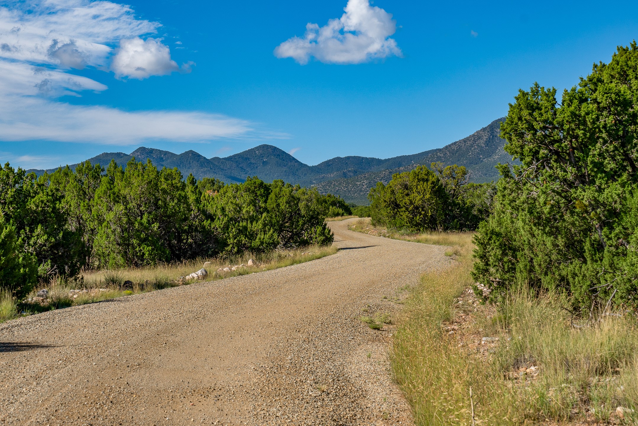 95 Grenfell Ranch Road Cerrillos, NM 87010 - Photo 42 of 47