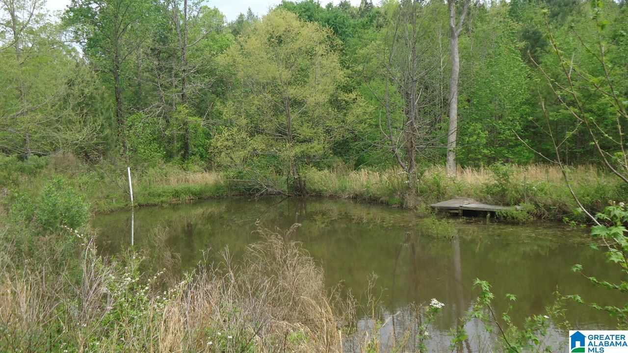 0 Mudd Street Ohatchee, AL 36271 - Photo 16 of 20