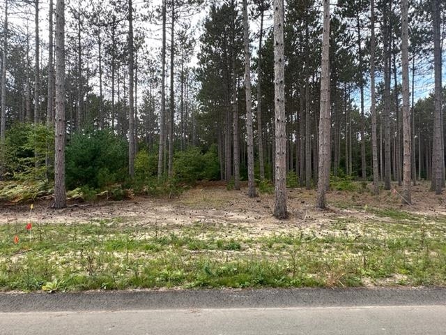 Lot 38 Cascade Trail Traverse City, MI 49685 - Photo 7 of 11