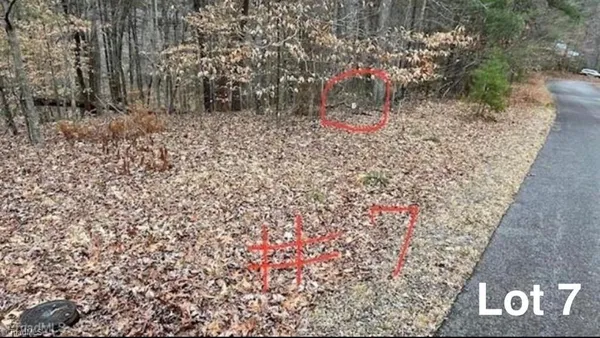 $29,999 | Lot 7 Woods Haven Lane, Stuart, VA 24171