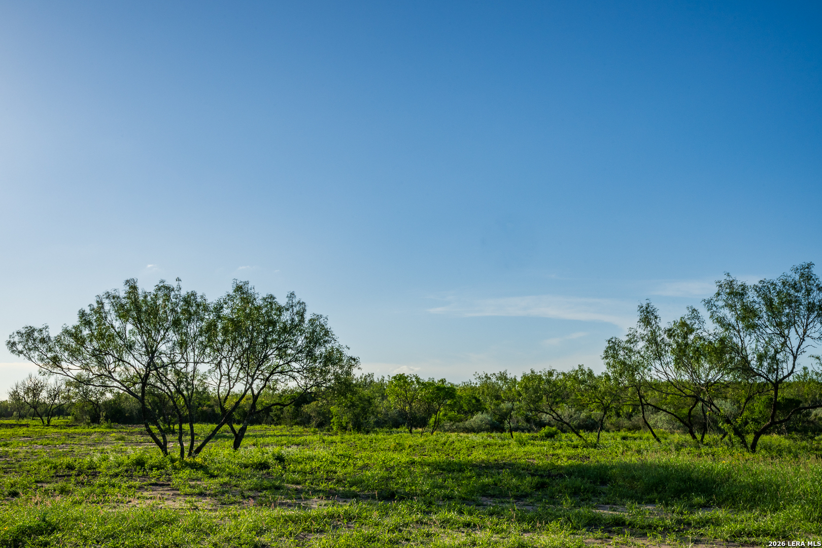 111 Los Lomas Ranch Road Freer, TX 78357 - Photo 2 of 31