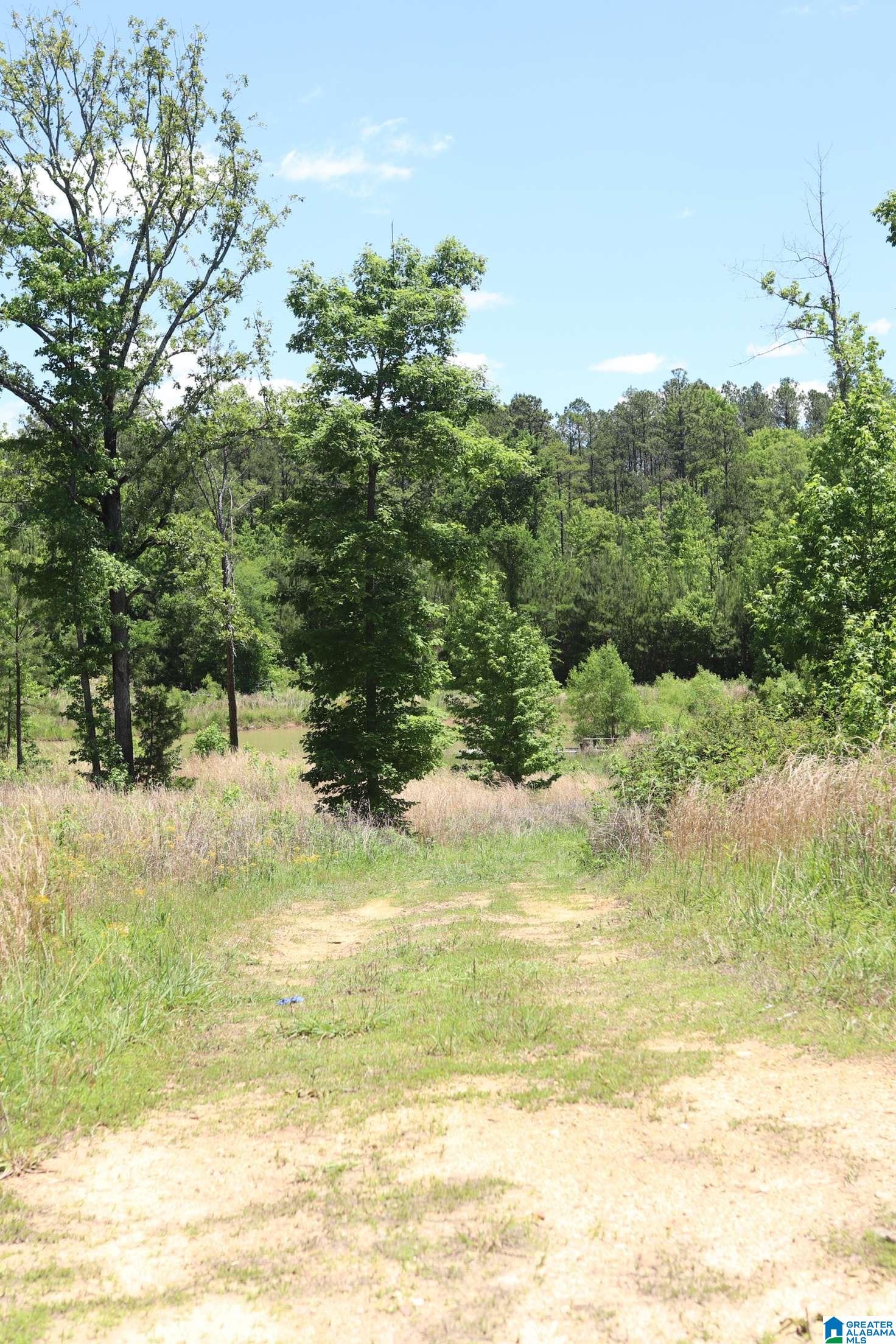 2930 Shocco Springs Road Talladega, AL 35160 - Photo 77 of 93