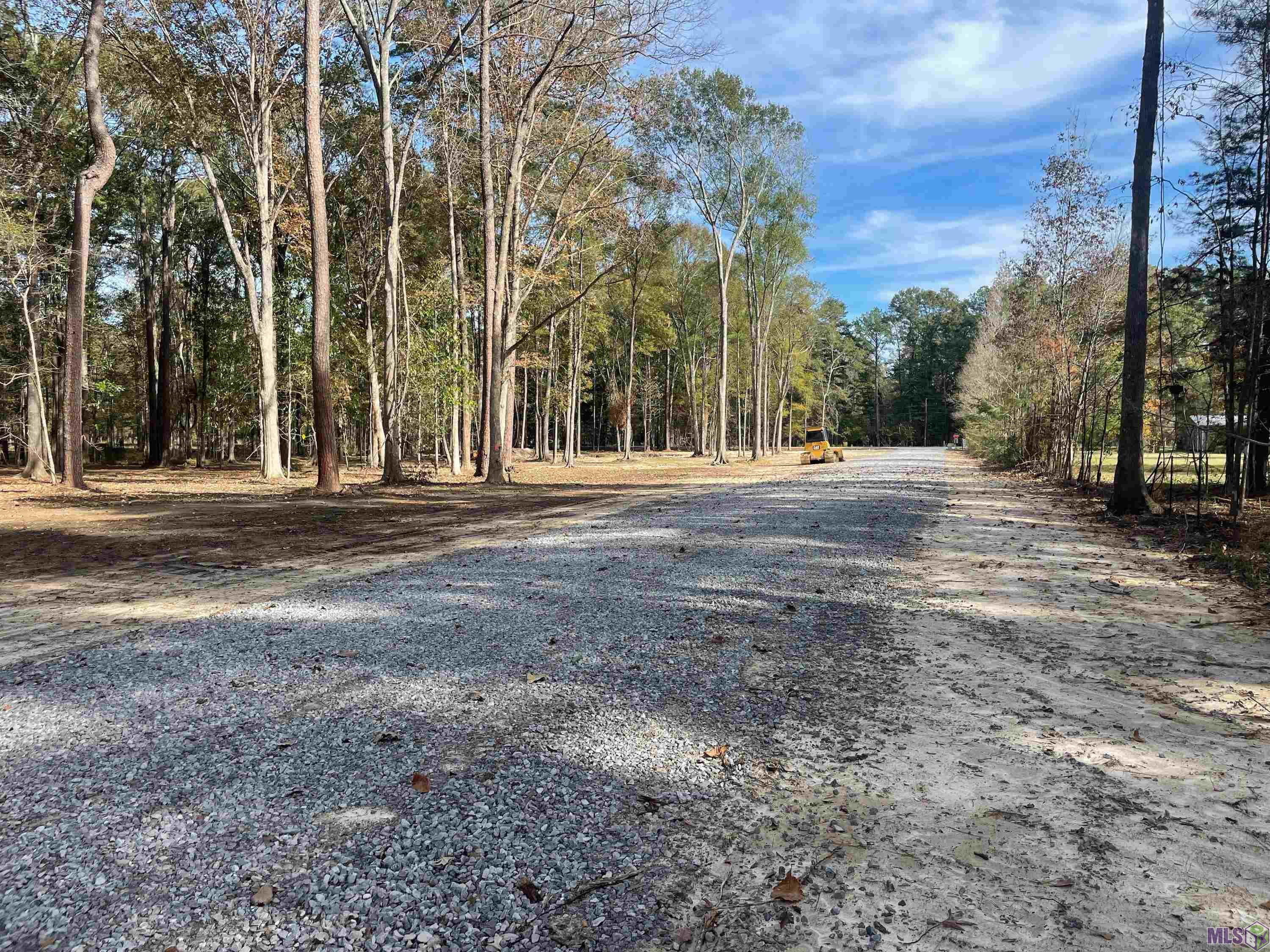 0 Chaney Road Zachary, LA 70791 - Photo 1 of 4 Gallery Image 1