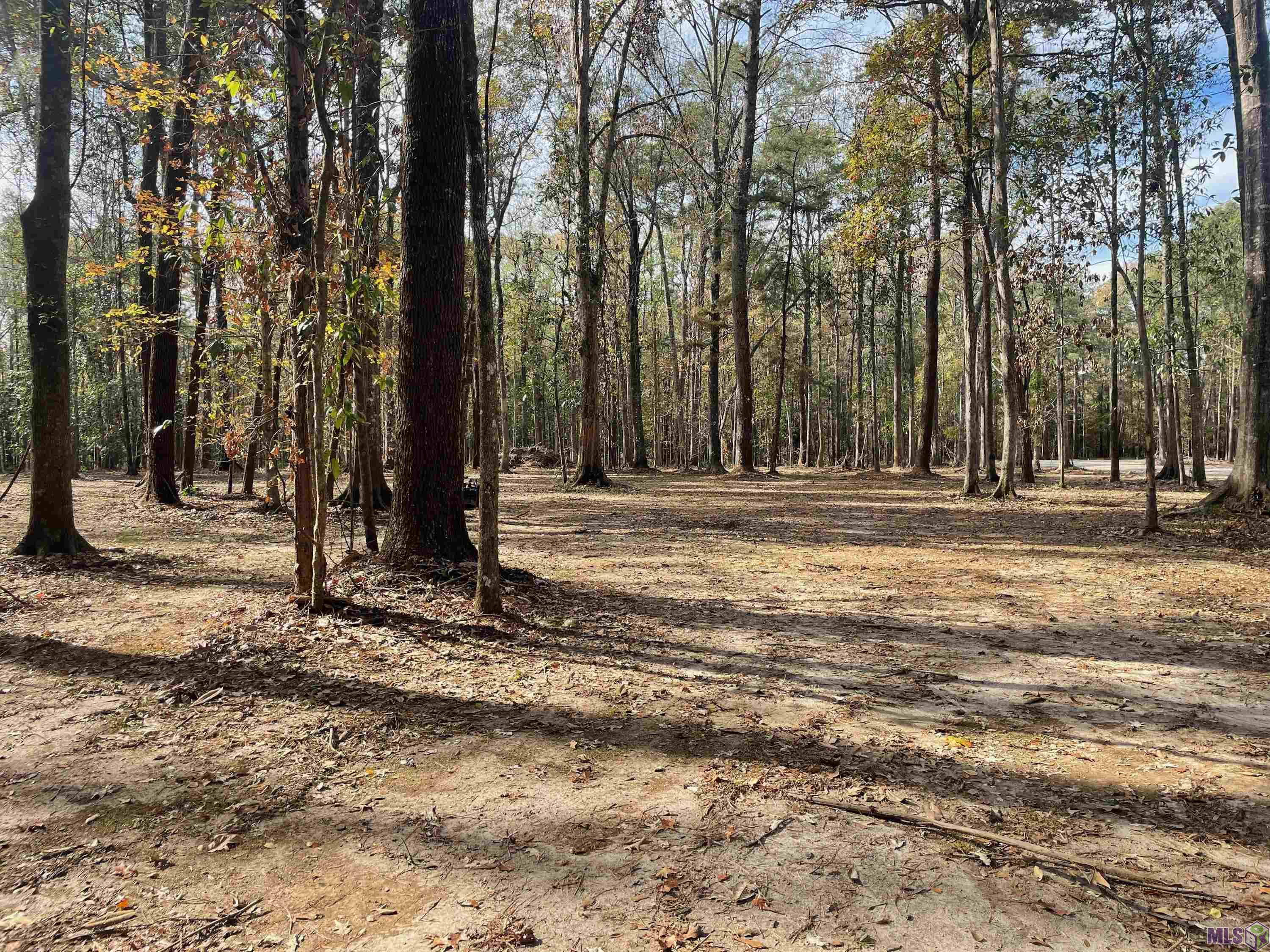 0 Chaney Road Zachary, LA 70791 - Photo 2 of 4 Gallery Image 2