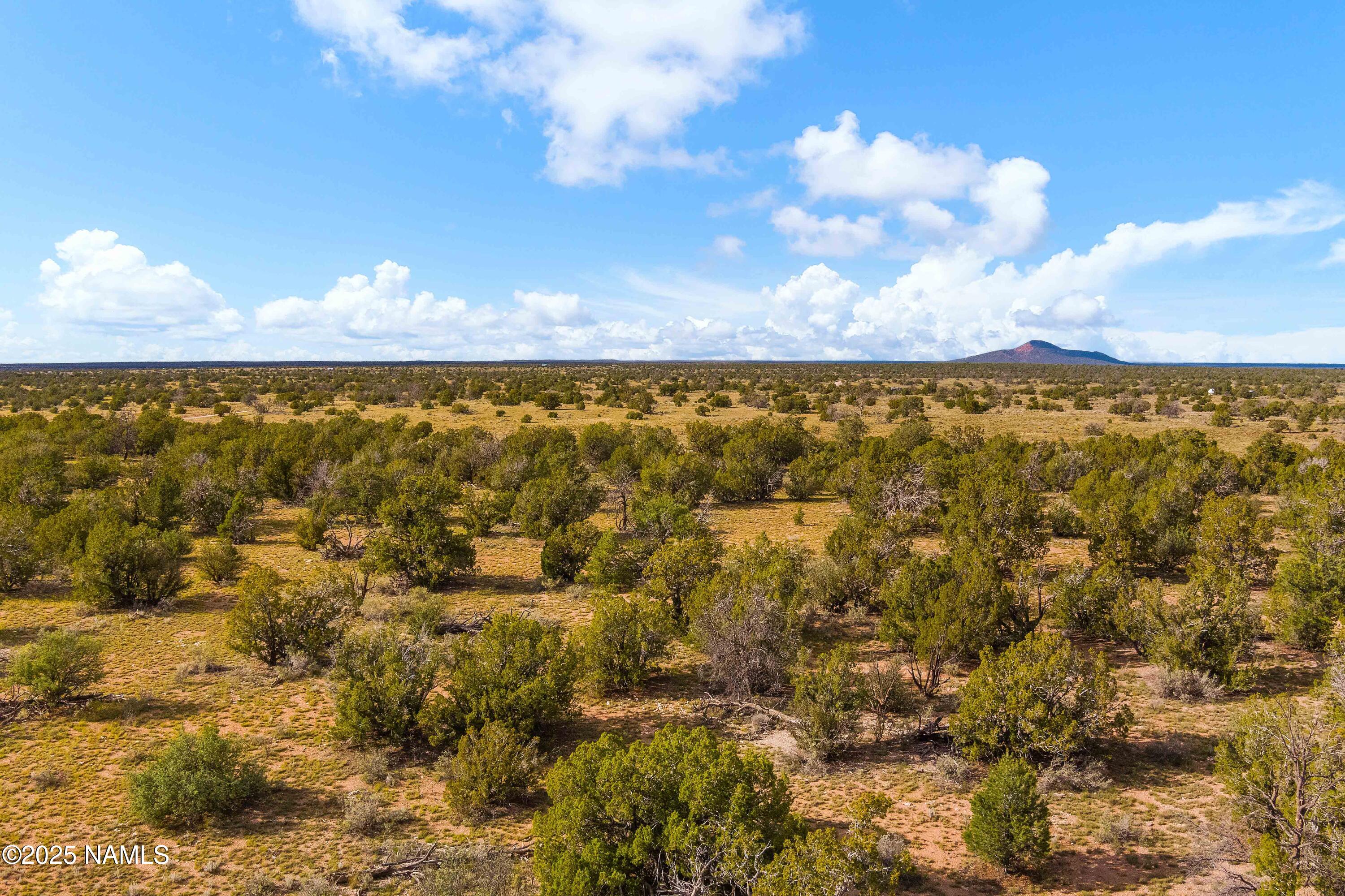 3697 East S Rim Ranch Road, Unit B Williams, AZ 86046 - Photo 17 of 22 a view of residential houses with outdoor space