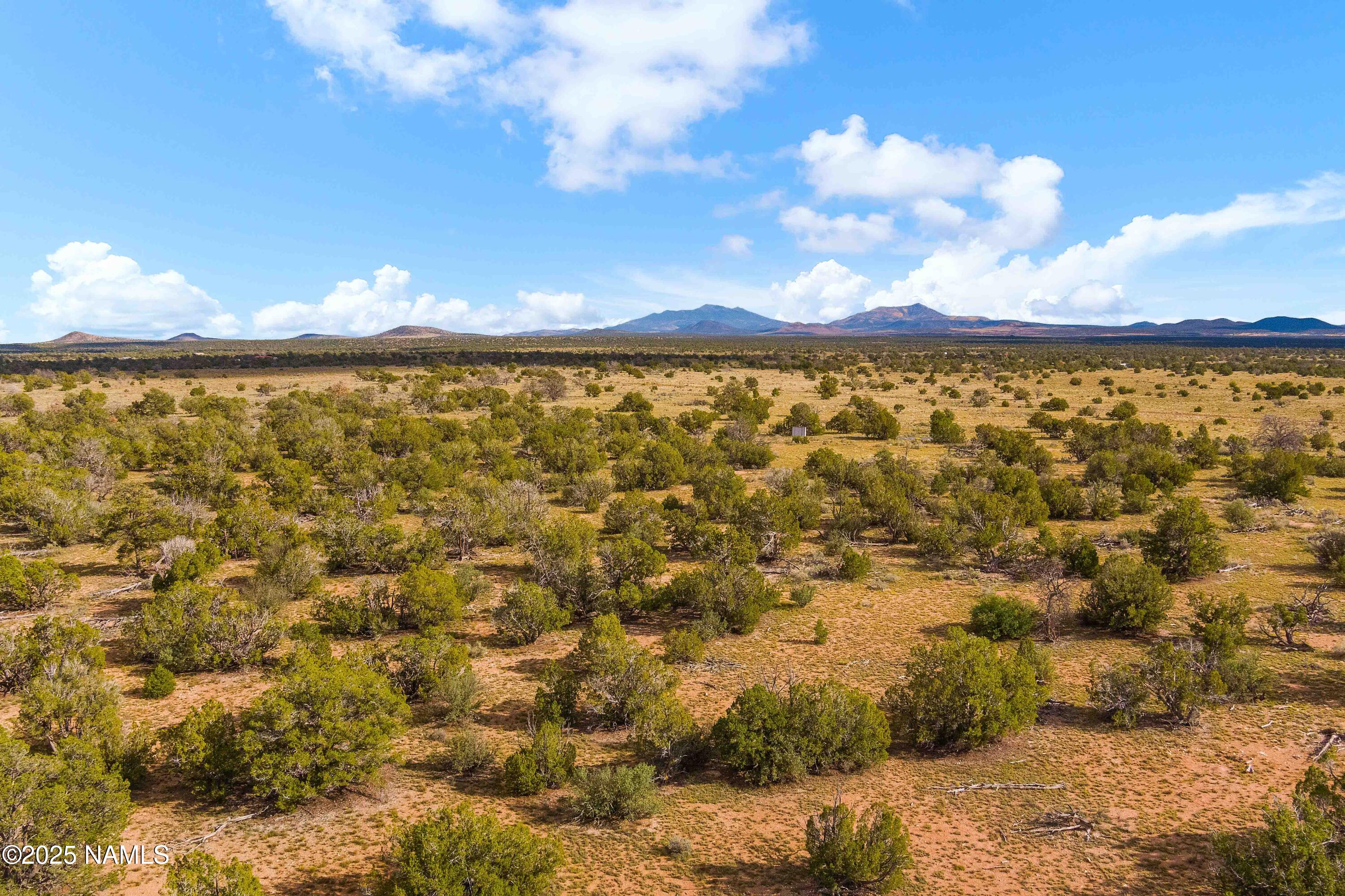 3697 East S Rim Ranch Road, Unit B Williams, AZ 86046 - Photo 7 of 22