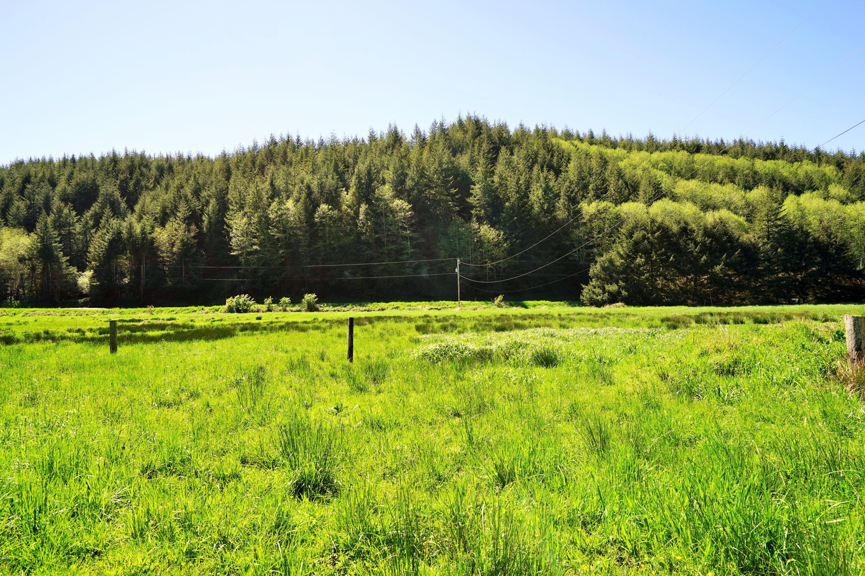 372 Fruitvale Road Newport, OR 97365 - Photo 21 of 31 Pasture