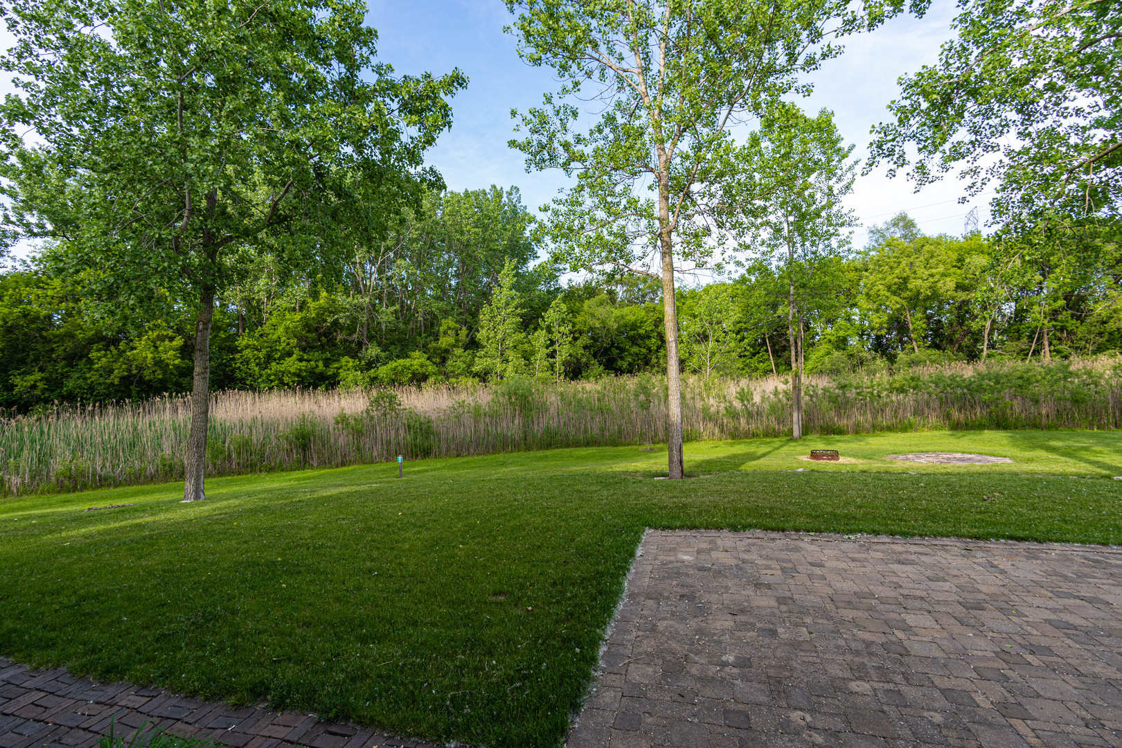 6416 Blue Stem Court Long Grove, IL 60047 - Photo 47 of 54