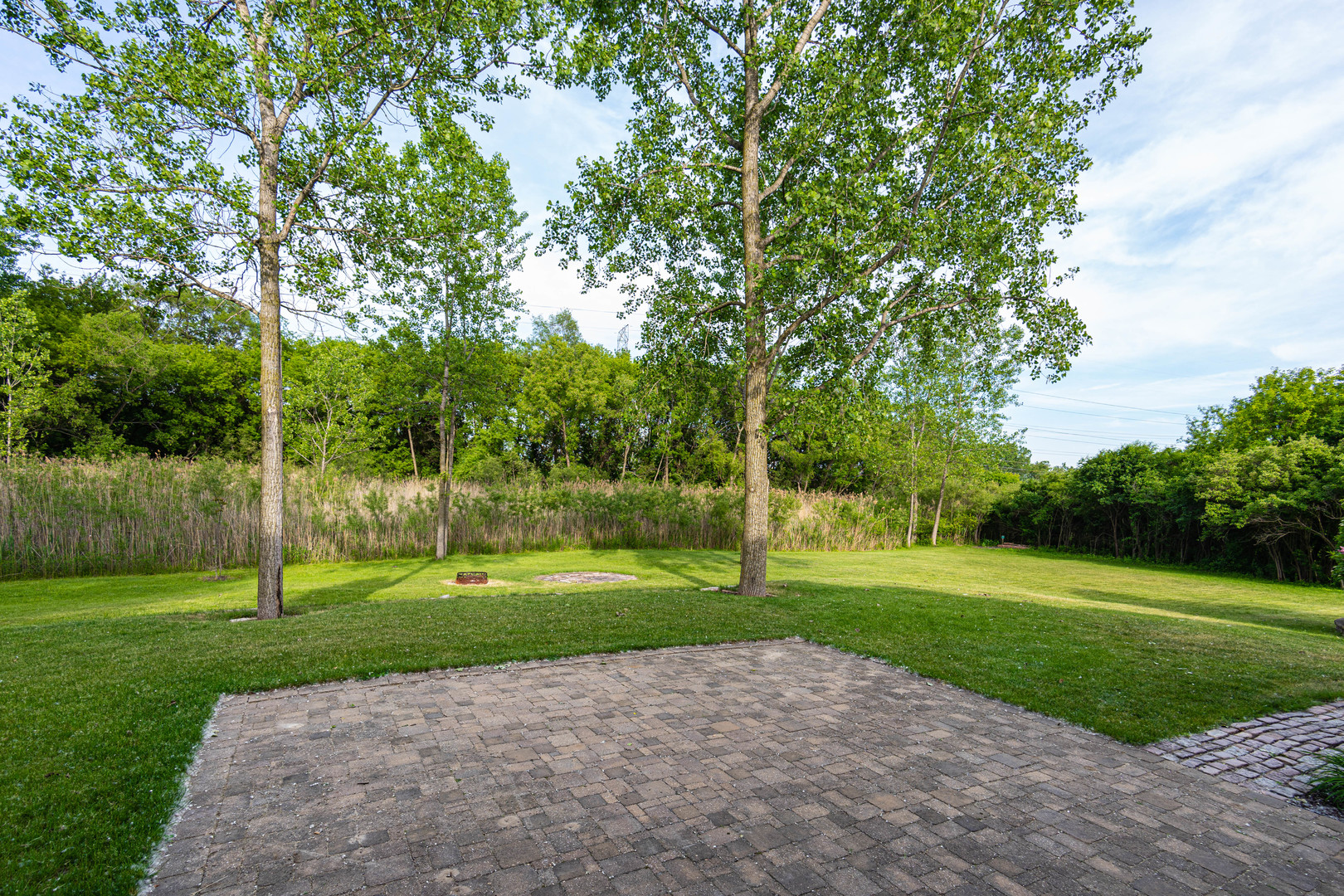 6416 Blue Stem Court Long Grove, IL 60047 - Photo 48 of 54