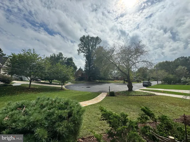 a view of a park with large trees