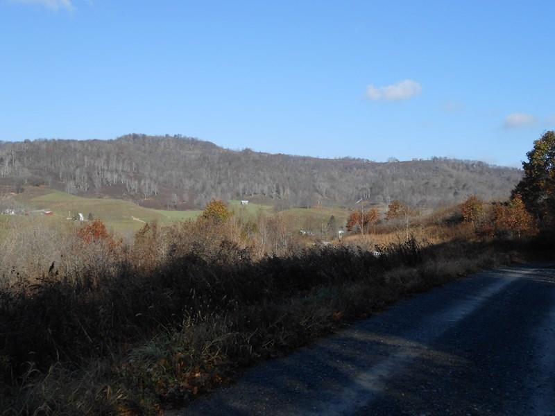 21 Fassifern Flds Road Slatyfork, WV 26291 - Photo 4 of 5 Gallery Image 4