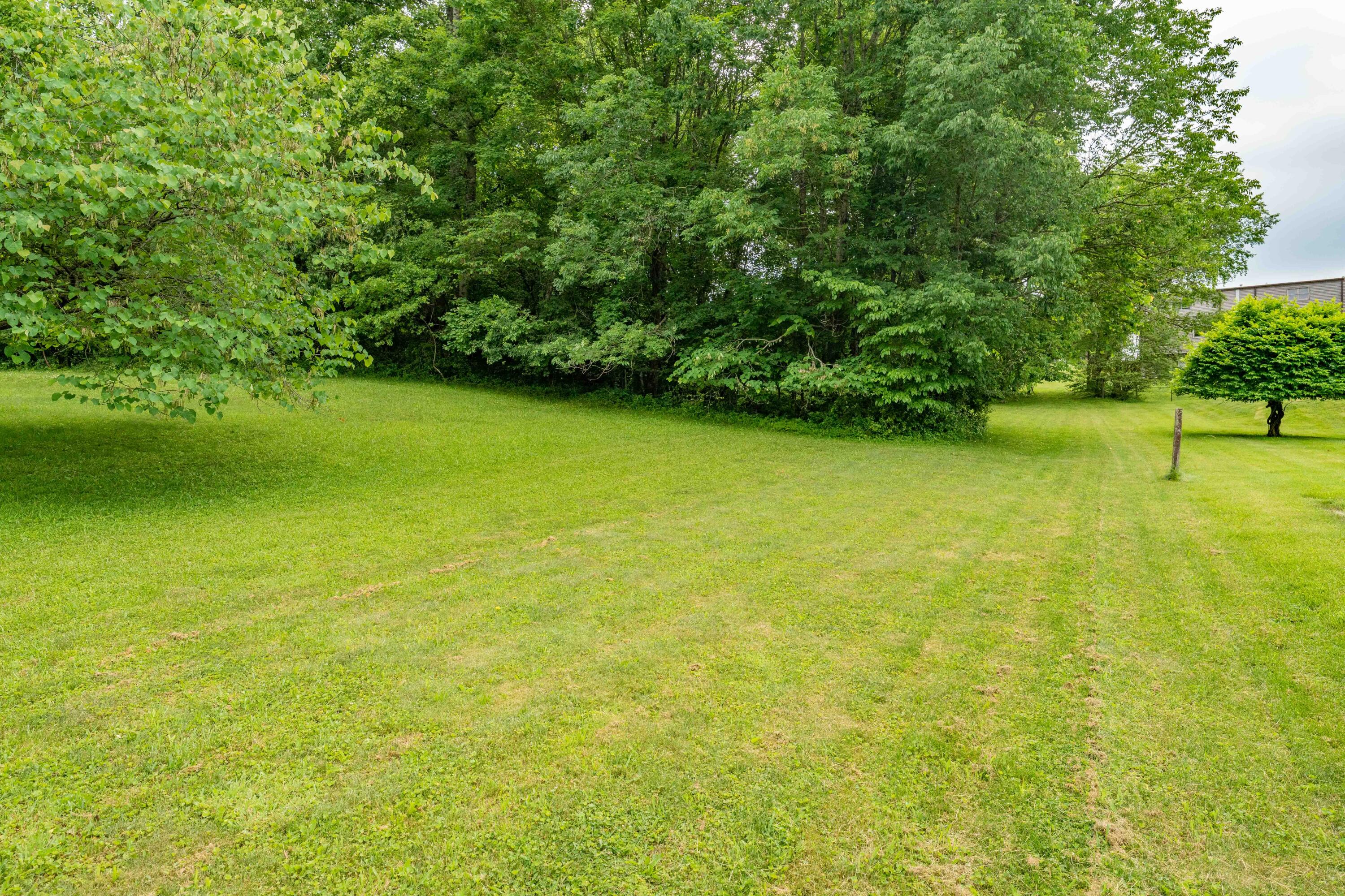 Tbd Edgefield Road Bristol, TN 37620 - Photo 4 of 34 TBD Edgefield Rd (19 of 34)