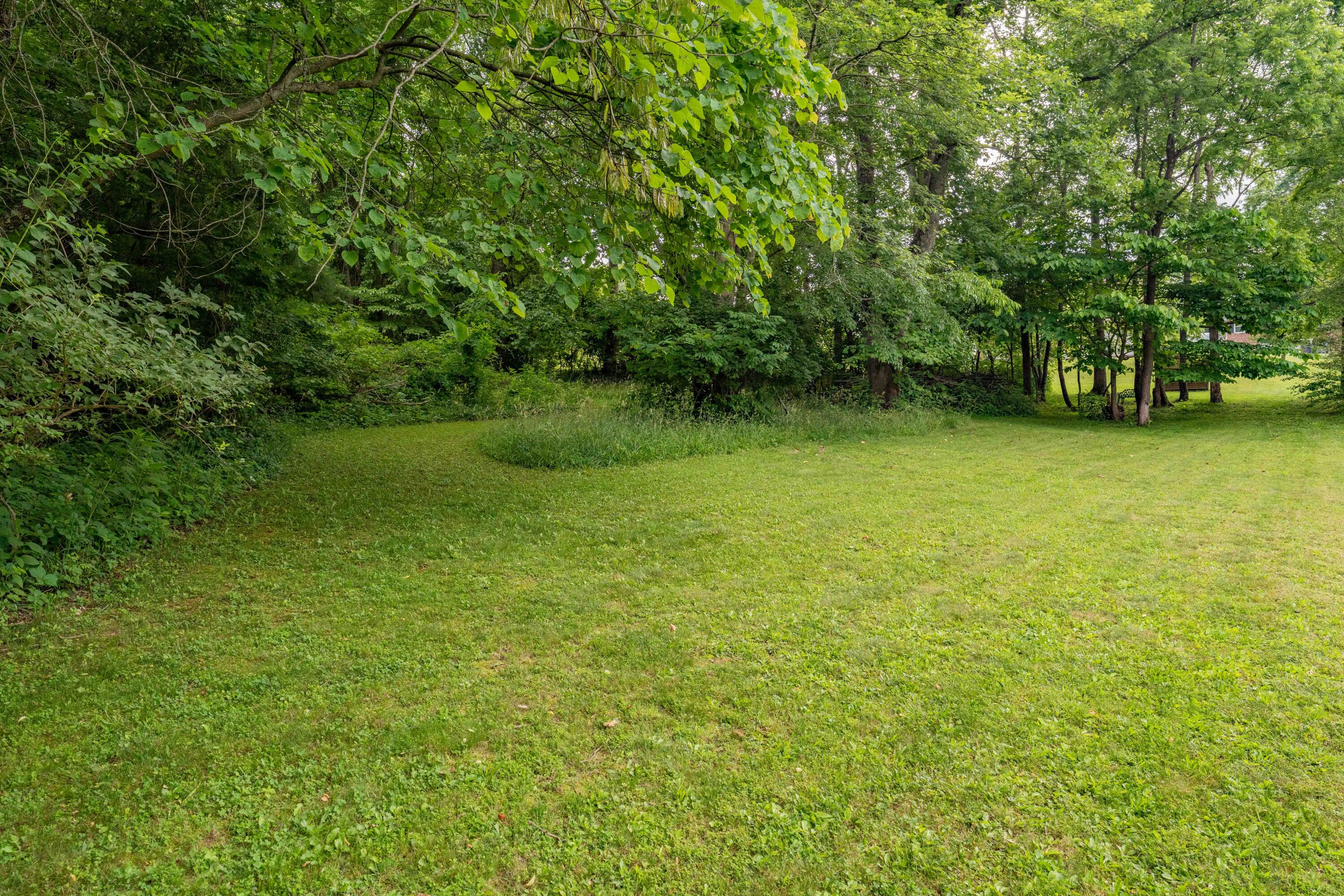 Tbd Edgefield Road Bristol, TN 37620 - Photo 5 of 34 TBD Edgefield Rd (20 of 34)