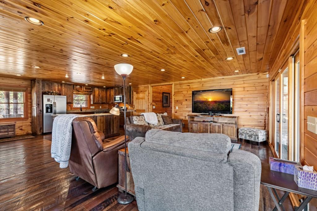 908 Cashes Valley Road Cherry Log, GA 30522 - Photo 28 of 90 a living room with furniture and a flat screen tv