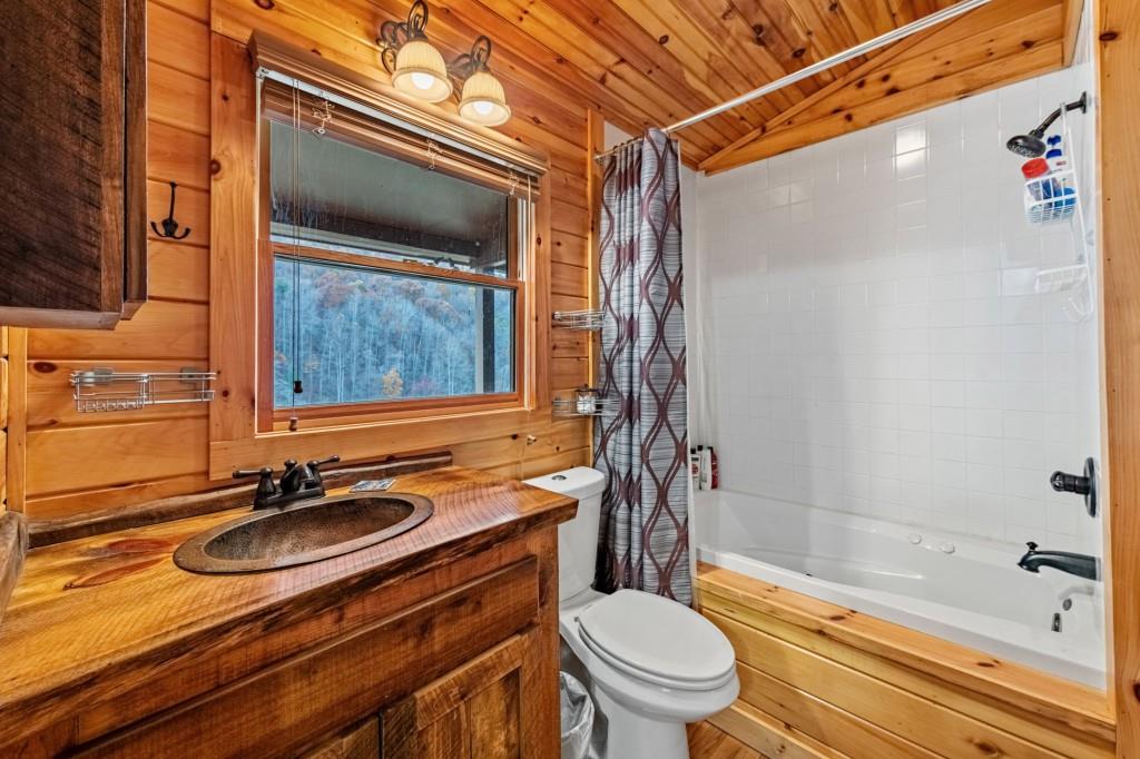 908 Cashes Valley Road Cherry Log, GA 30522 - Photo 49 of 90 a bathroom with a sink a toilet and shower