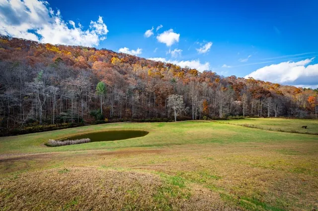 $820,000 | 908 Cashes Valley Road, Cherry Log, GA 30522