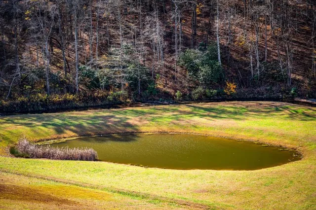 $820,000 | 908 Cashes Valley Road, Cherry Log, GA 30522