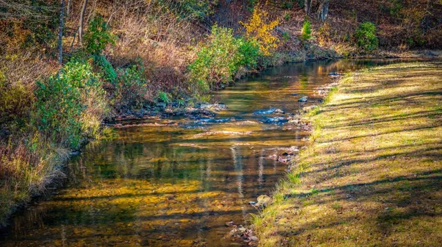 $820,000 | 908 Cashes Valley Road, Cherry Log, GA 30522