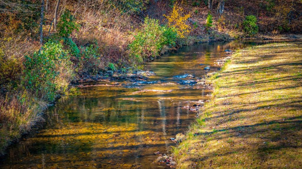908 Cashes Valley Road Cherry Log, GA 30522 - Photo 77 of 90