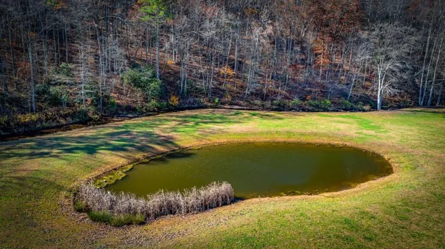 $820,000 | 908 Cashes Valley Road, Cherry Log, GA 30522