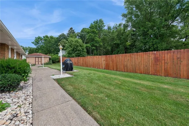 a view of a backyard with potted plants and a large tree