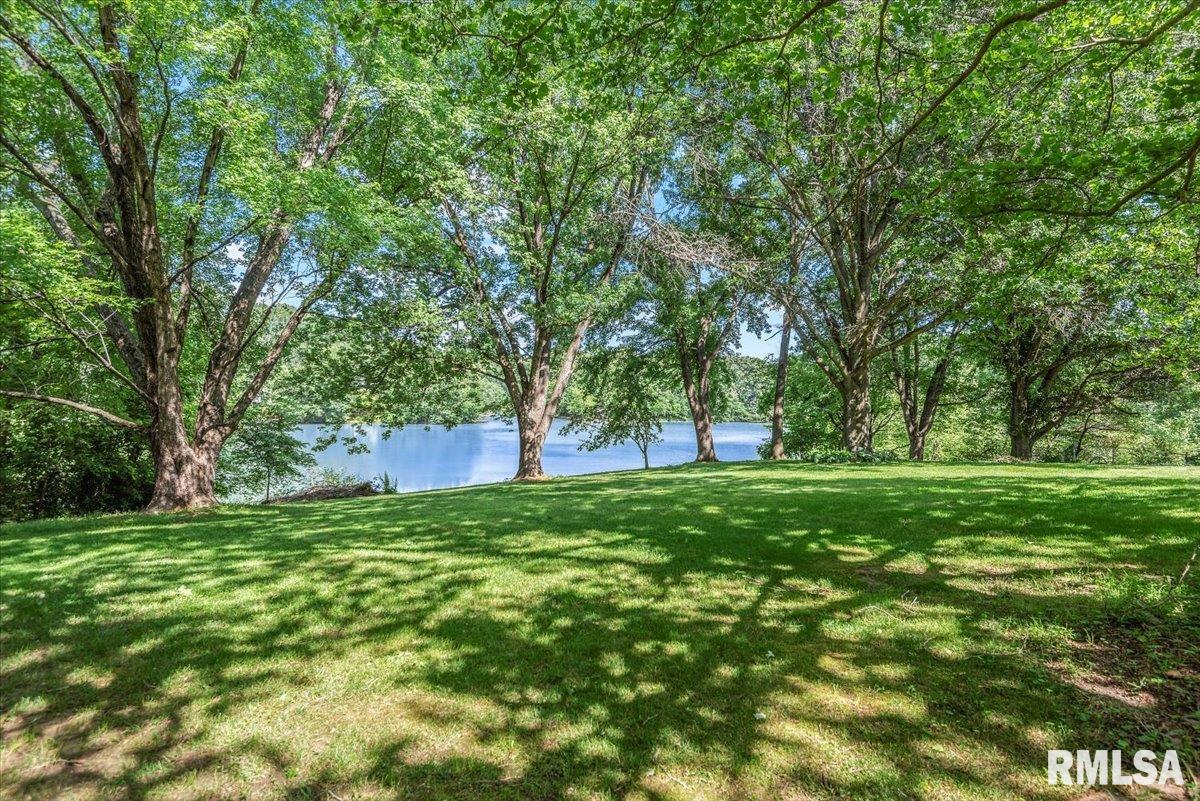 2996 Hazlett Road Springfield, IL 62707 - Photo 59 of 72