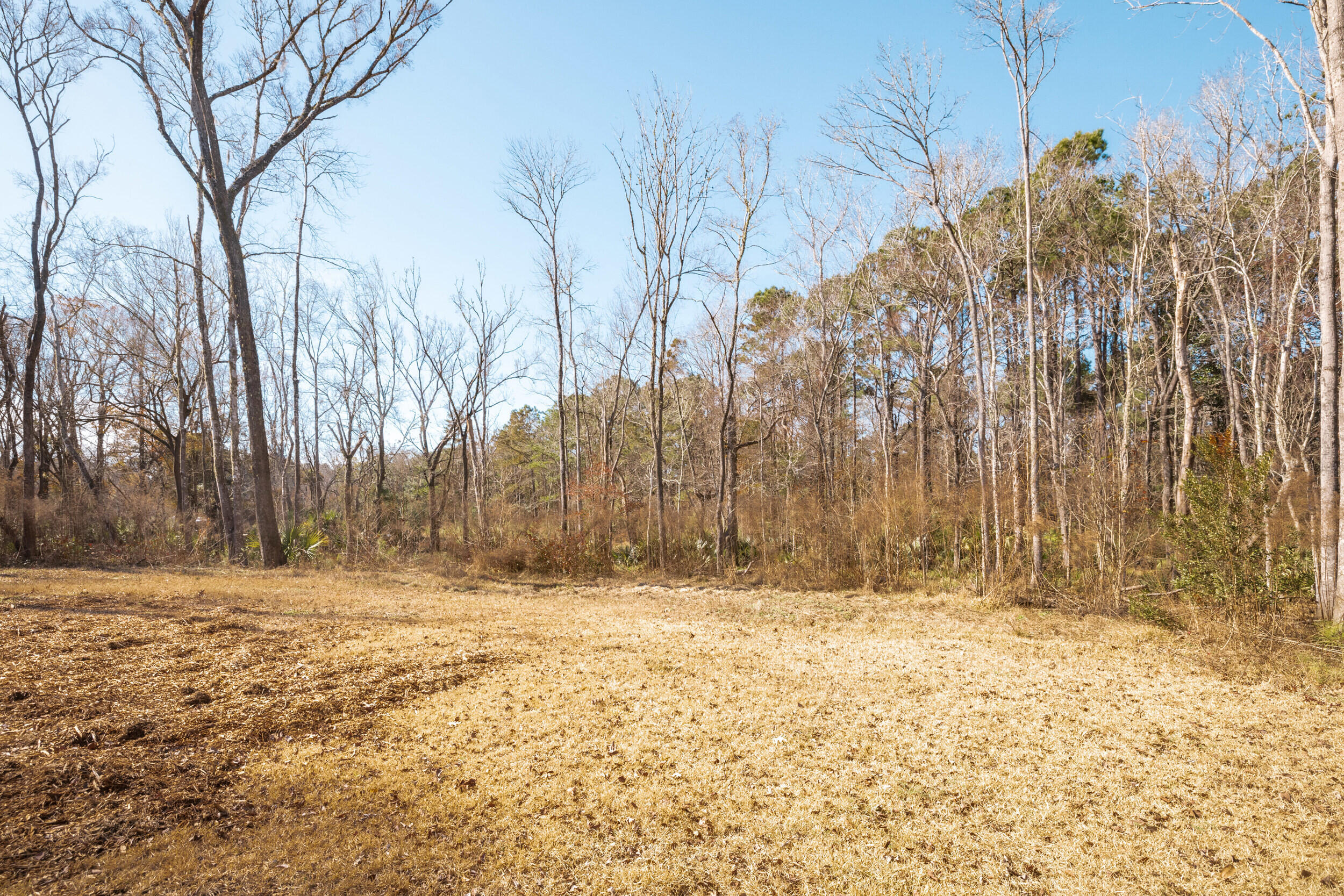 4294 River Road Johns Island, SC 29455 - Photo 11 of 64 120_4294 river rd _mgc7499