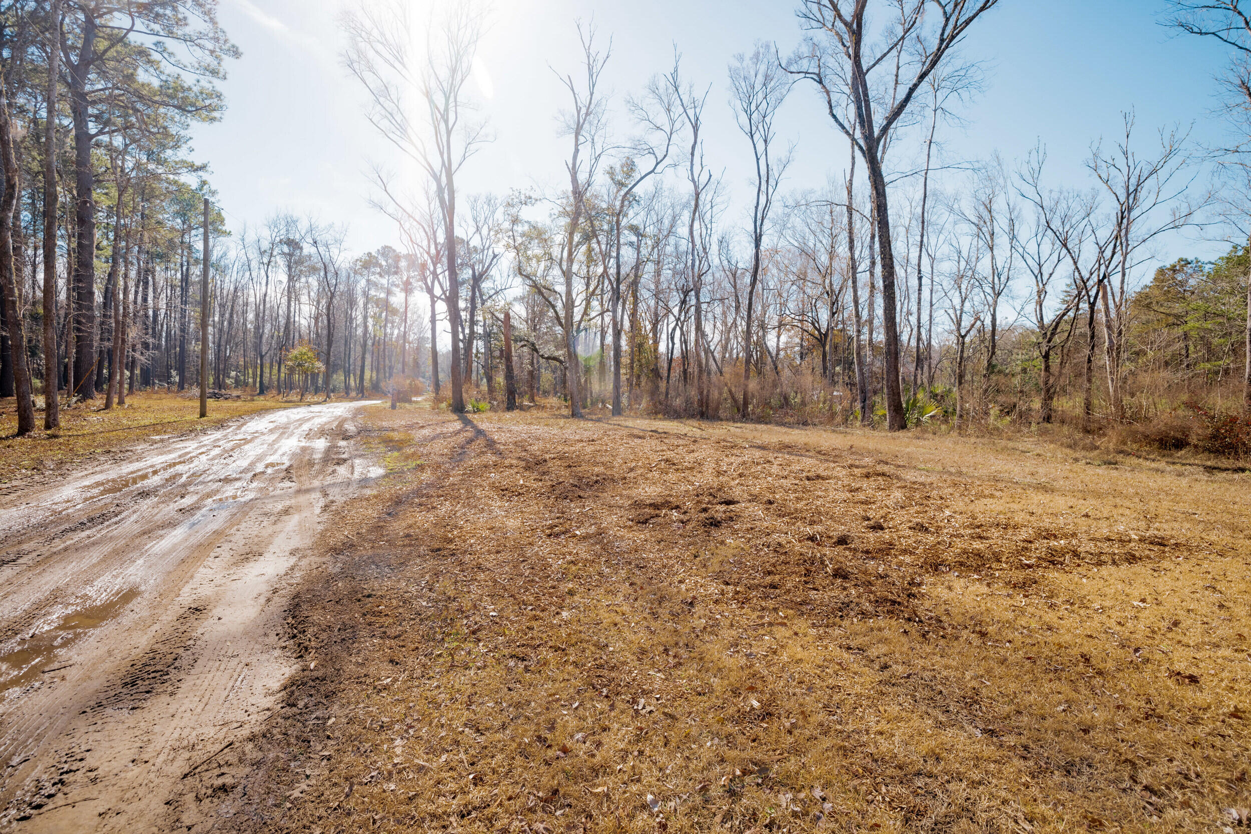 4294 River Road Johns Island, SC 29455 - Photo 12 of 64 119_4294 river rd _mgc7493