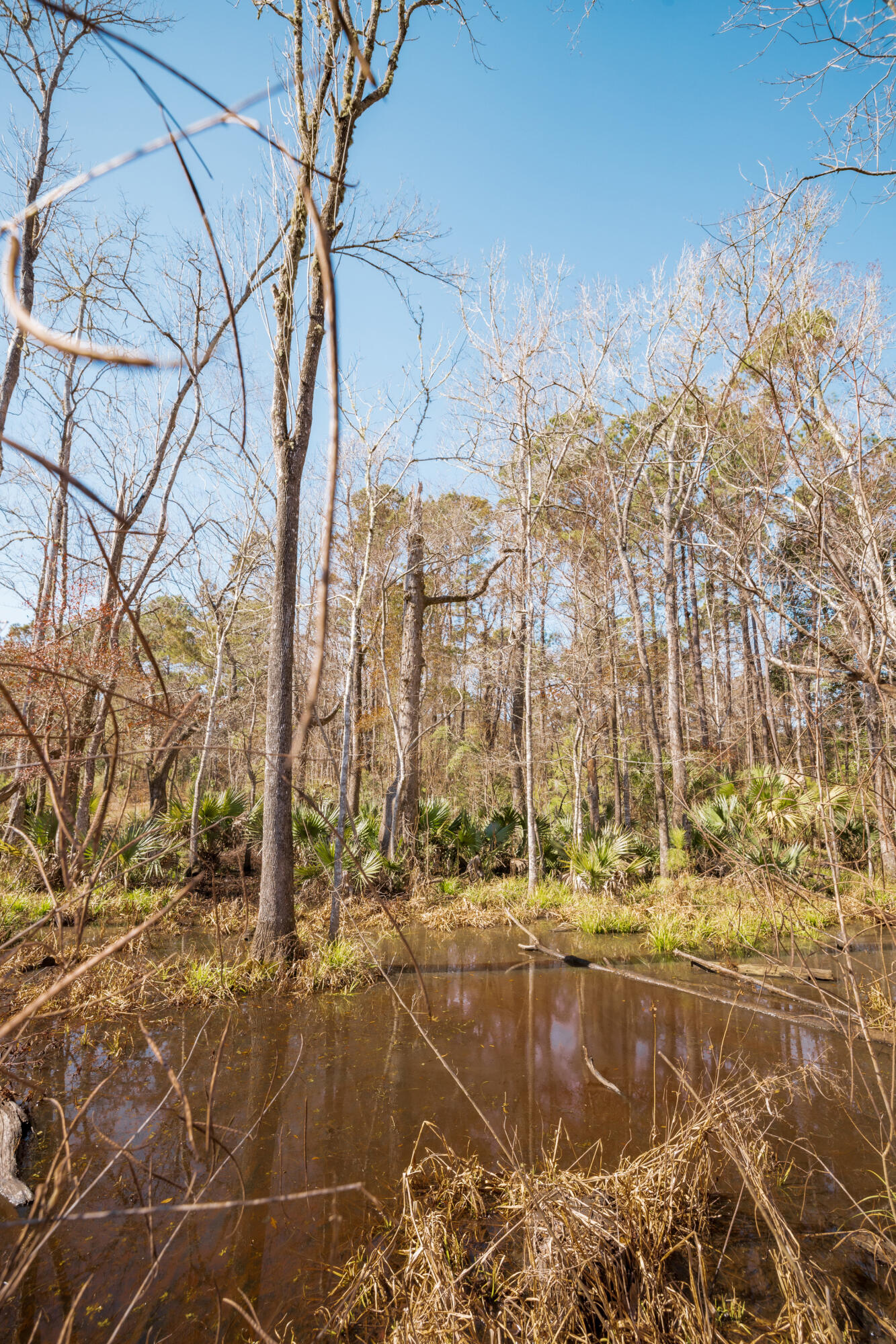 4294 River Road Johns Island, SC 29455 - Photo 13 of 64 116_4294 river rd _mgc7484
