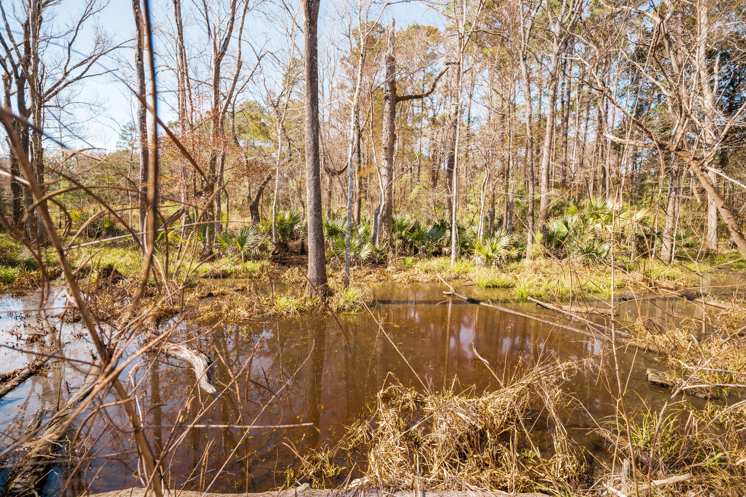 4294 River Road Johns Island, SC 29455 - Photo 14 of 64 115_4294 river rd _mgc7481