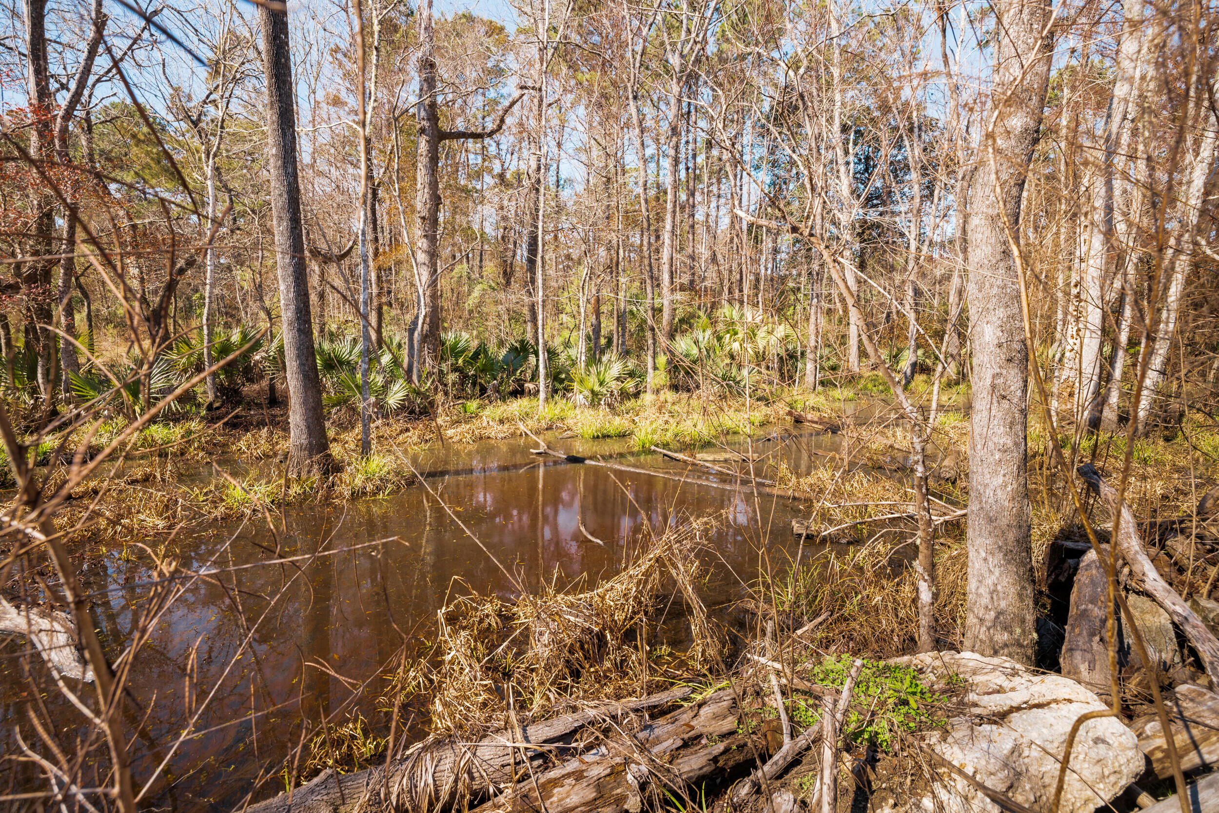 4294 River Road Johns Island, SC 29455 - Photo 15 of 64 113_4294 river rd _mgc7475
