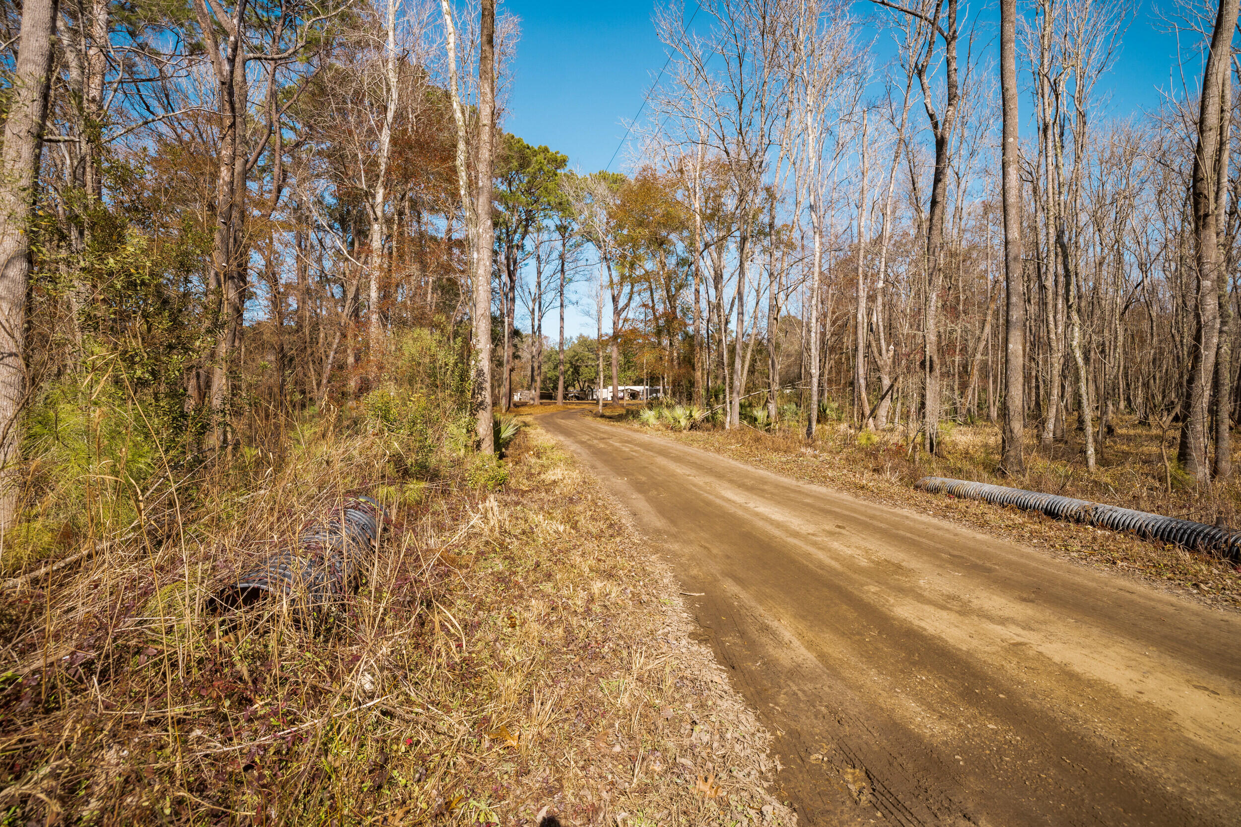 4294 River Road Johns Island, SC 29455 - Photo 17 of 64 110_4294 river rd _mgc7466