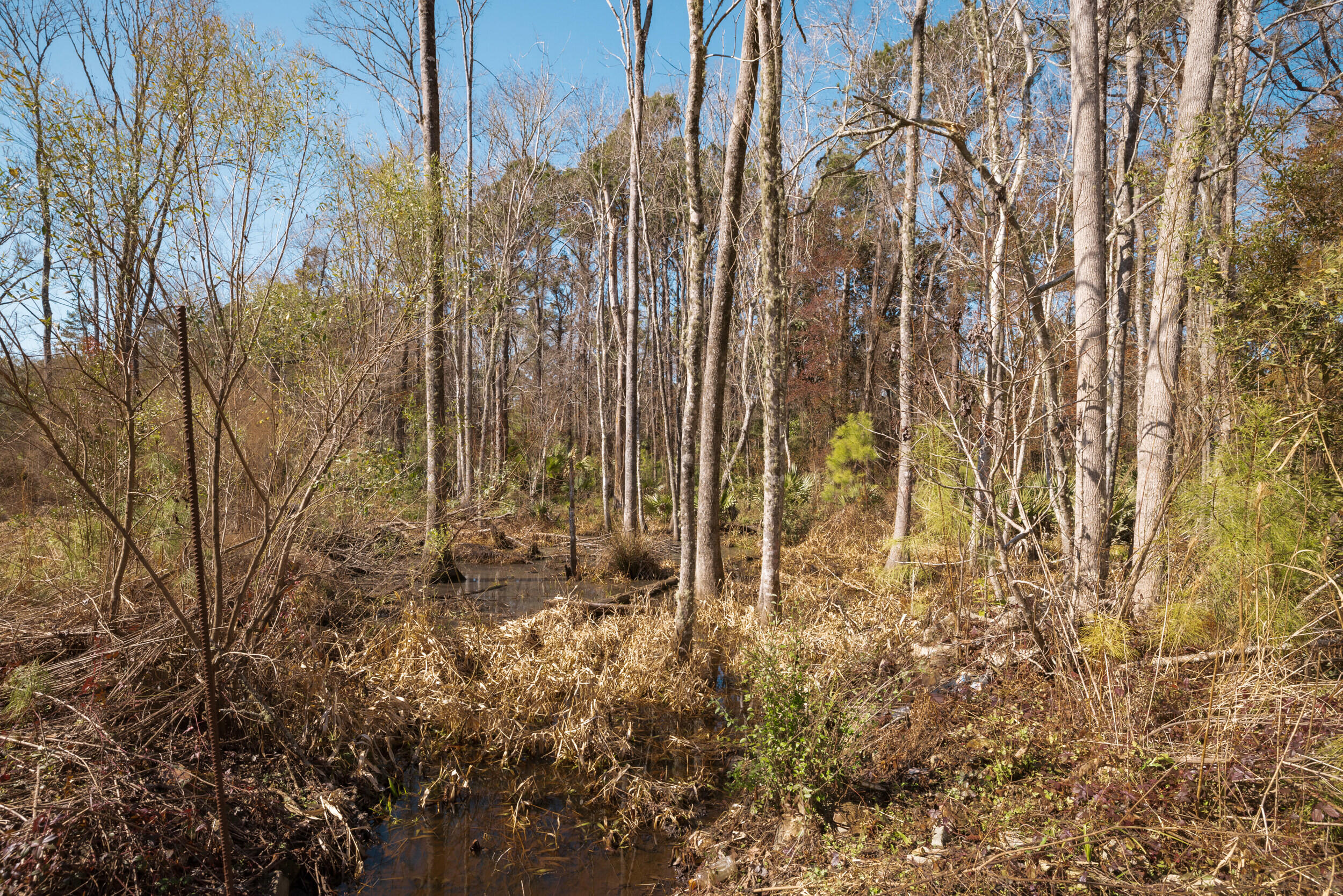 4294 River Road Johns Island, SC 29455 - Photo 18 of 64 109_4294 river rd _mgc7463